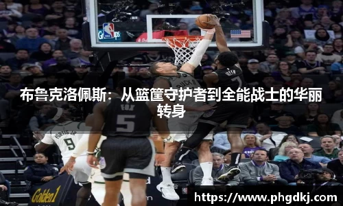 新博官网