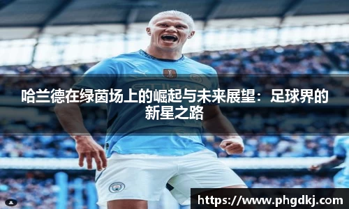 新博集团app
