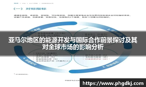 新博官网
