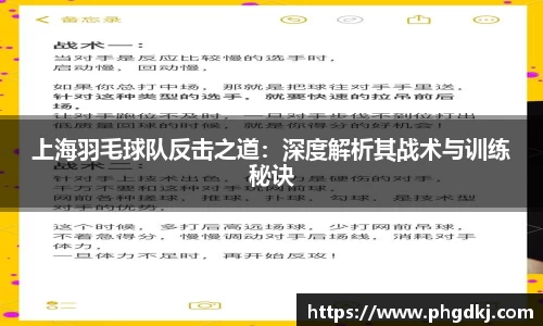 上海羽毛球队反击之道：深度解析其战术与训练秘诀